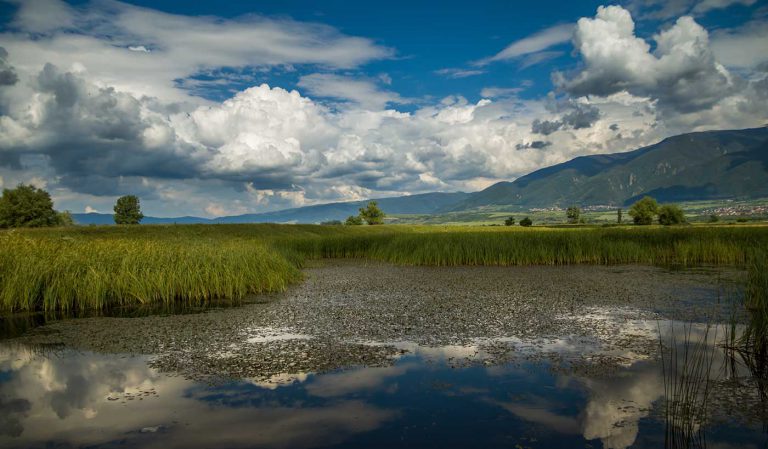 Countryside in Bulgaria