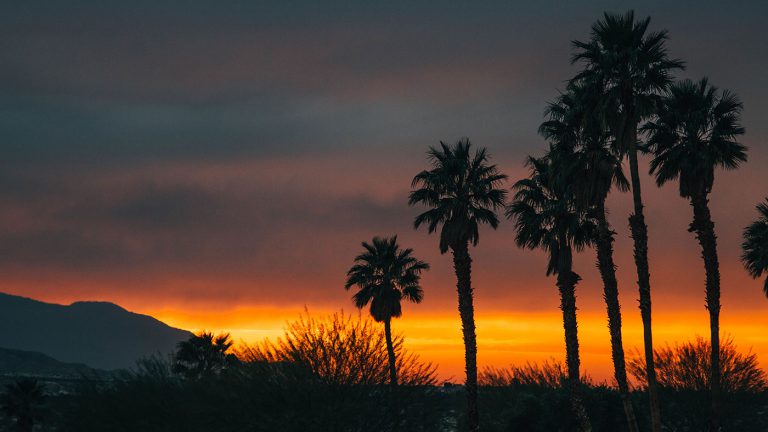 Palm Springs sunset