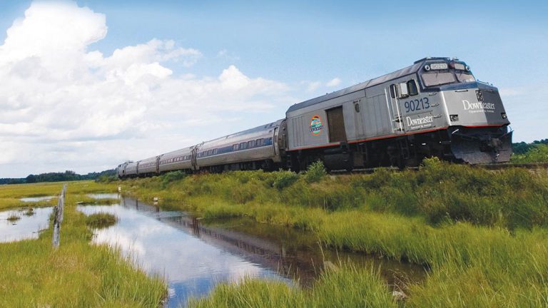 Amtrak Downeaster traveling through a marsh.