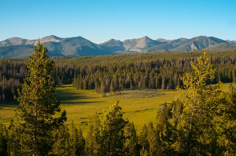 green trees and mountains during daytime