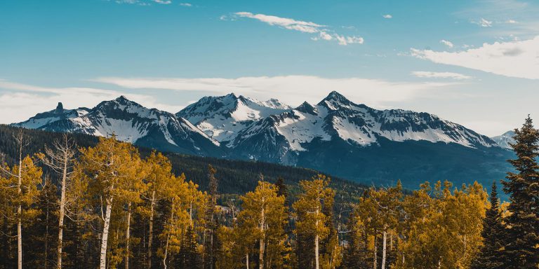 Greyish mountains posing behind yellow Aspen trees against a blue sky.