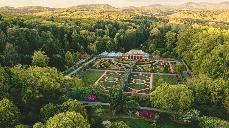 Lush green forest surrounding detailed spring garden at Biltmore.